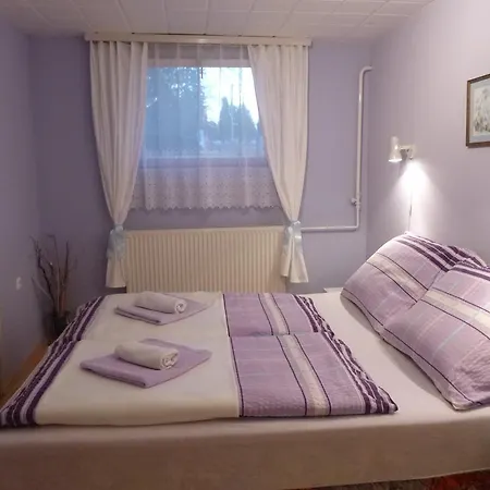 Zsuzsa Apartman Apartment Heviz