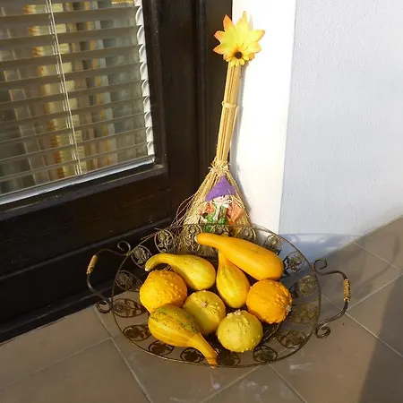 Zsuzsa Apartman *